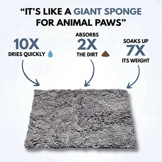 CleanPaws™ Mat